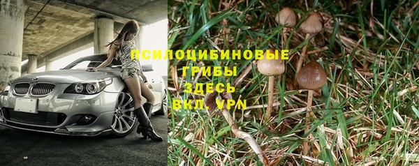 дмт Нефтекумск