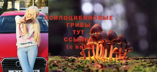 соль курить ск Нея